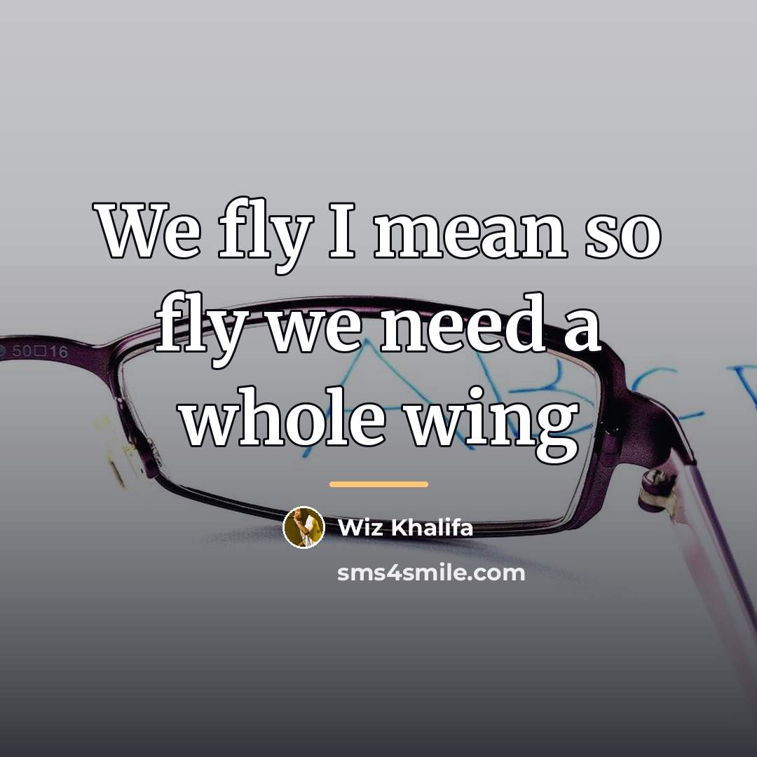 “We fly I mean so fly we need a whole…” quote by Wiz Khalifa