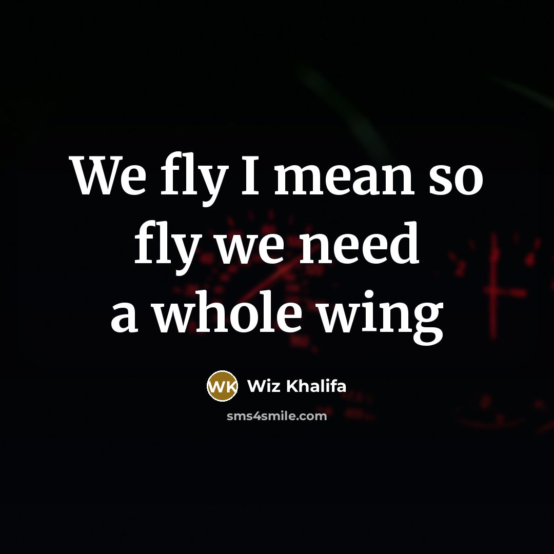 “We fly I mean so fly we need a whole wing” quote by Wiz Khalifa