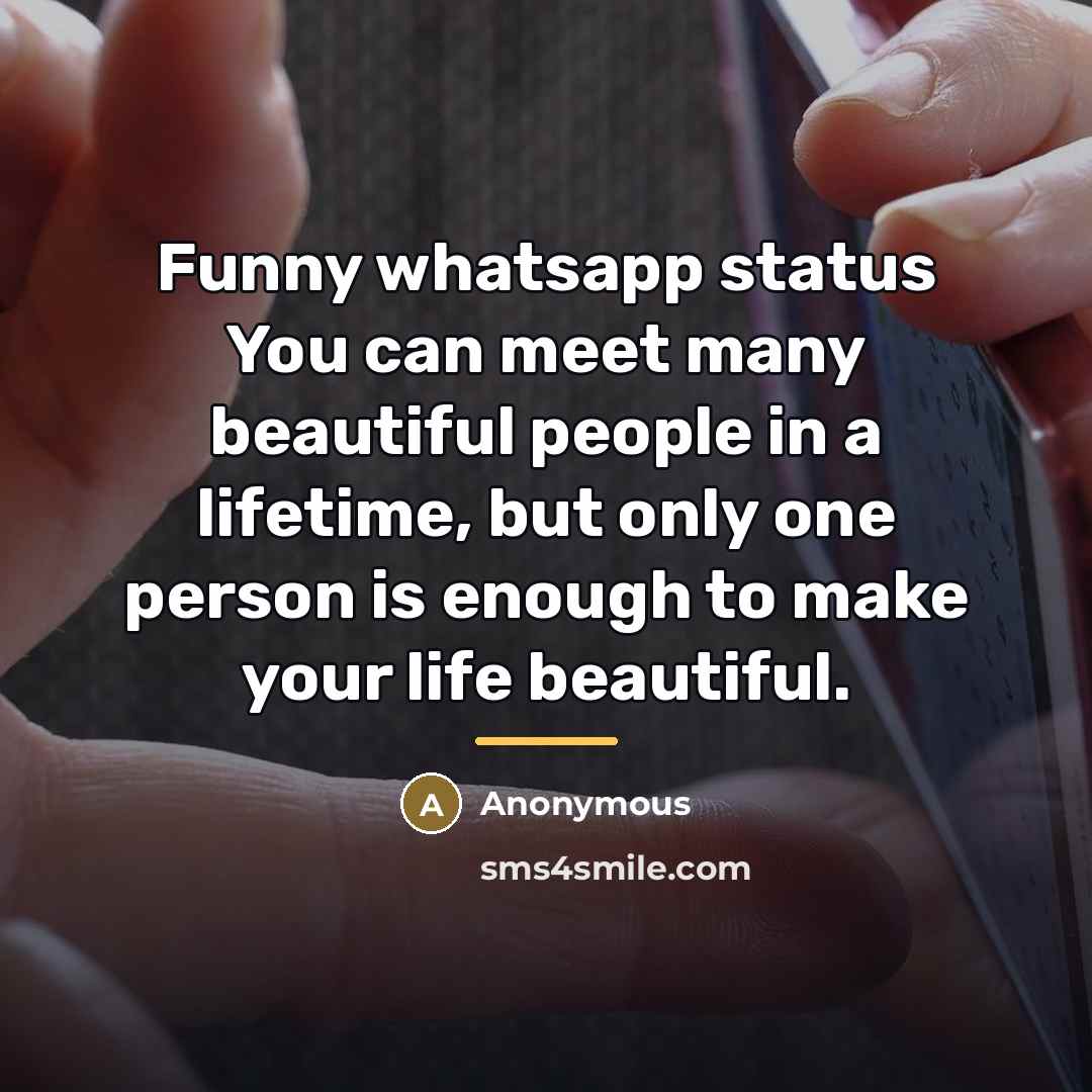 “Funny whatsapp status You can meet many beautiful people in…” quote by Anonymous