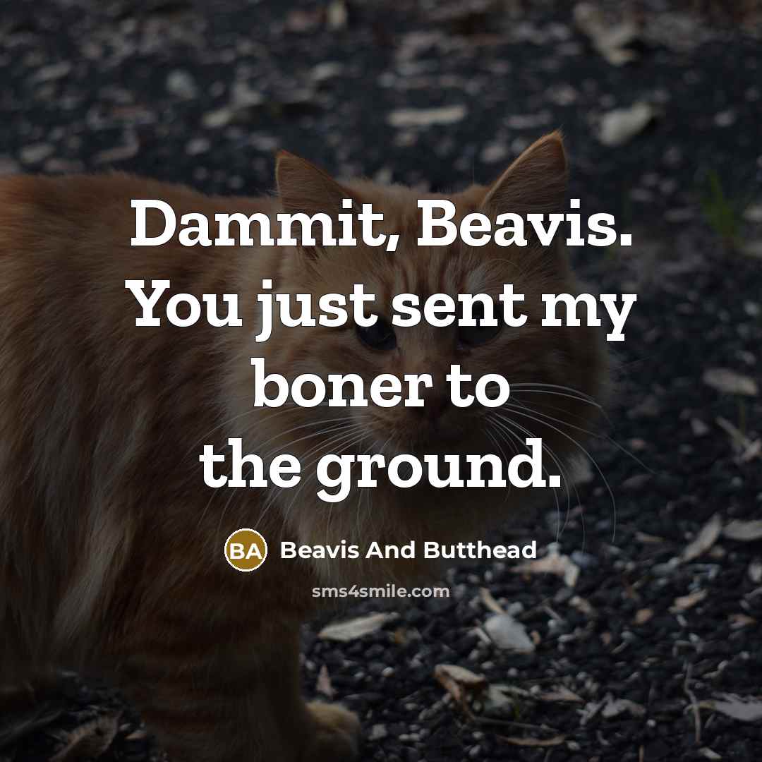 “Dammit, Beavis. You just sent my boner to the ground.…” quote by Beavis And Butthead