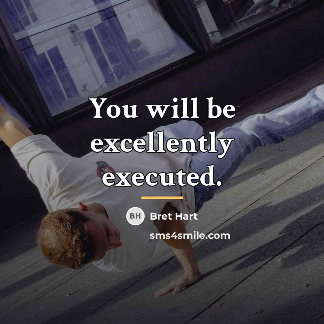 “You will be excellently executed.…” quote by Bret Hart