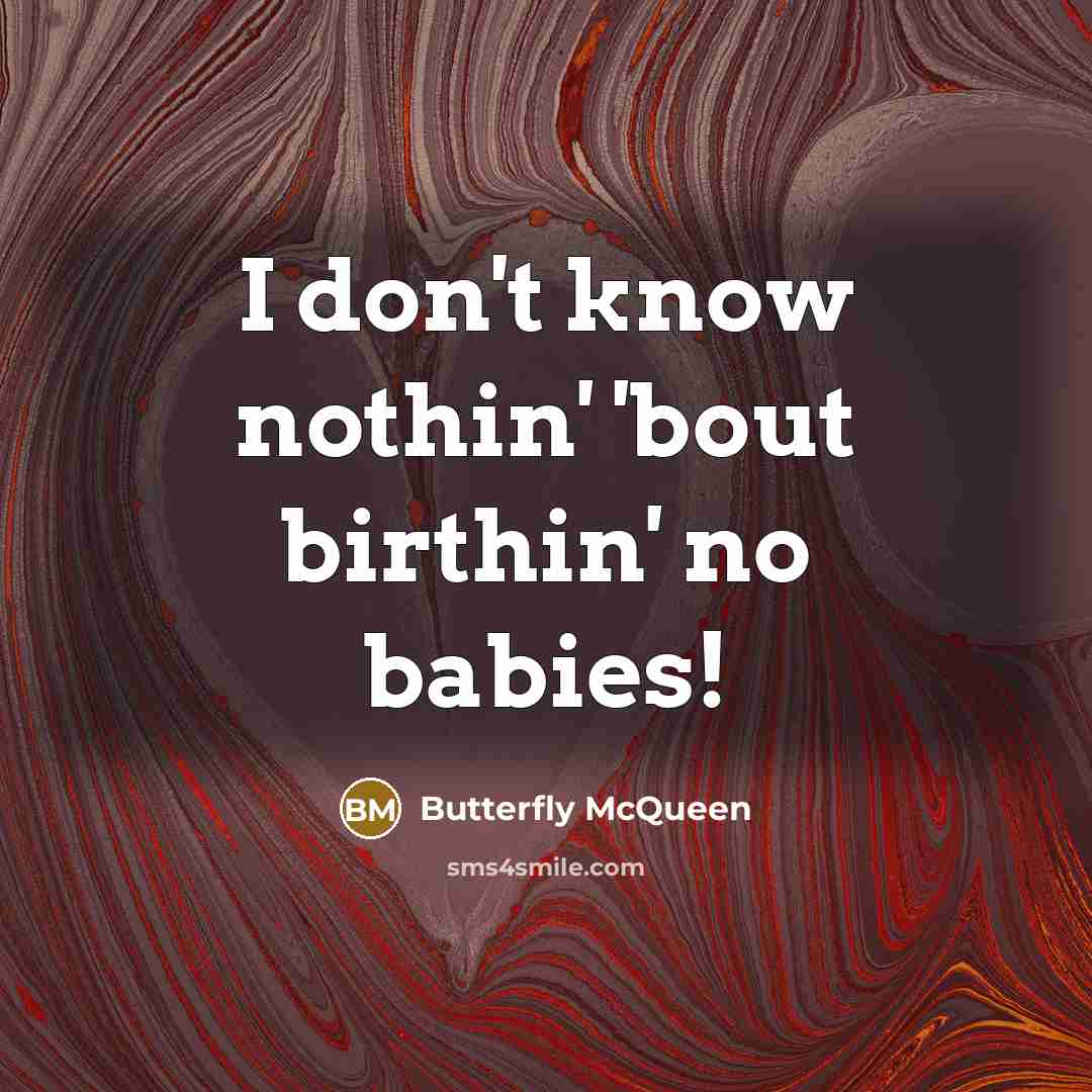 “I don't know nothin' 'bout birthin' no babies!” quote by Butterfly McQueen