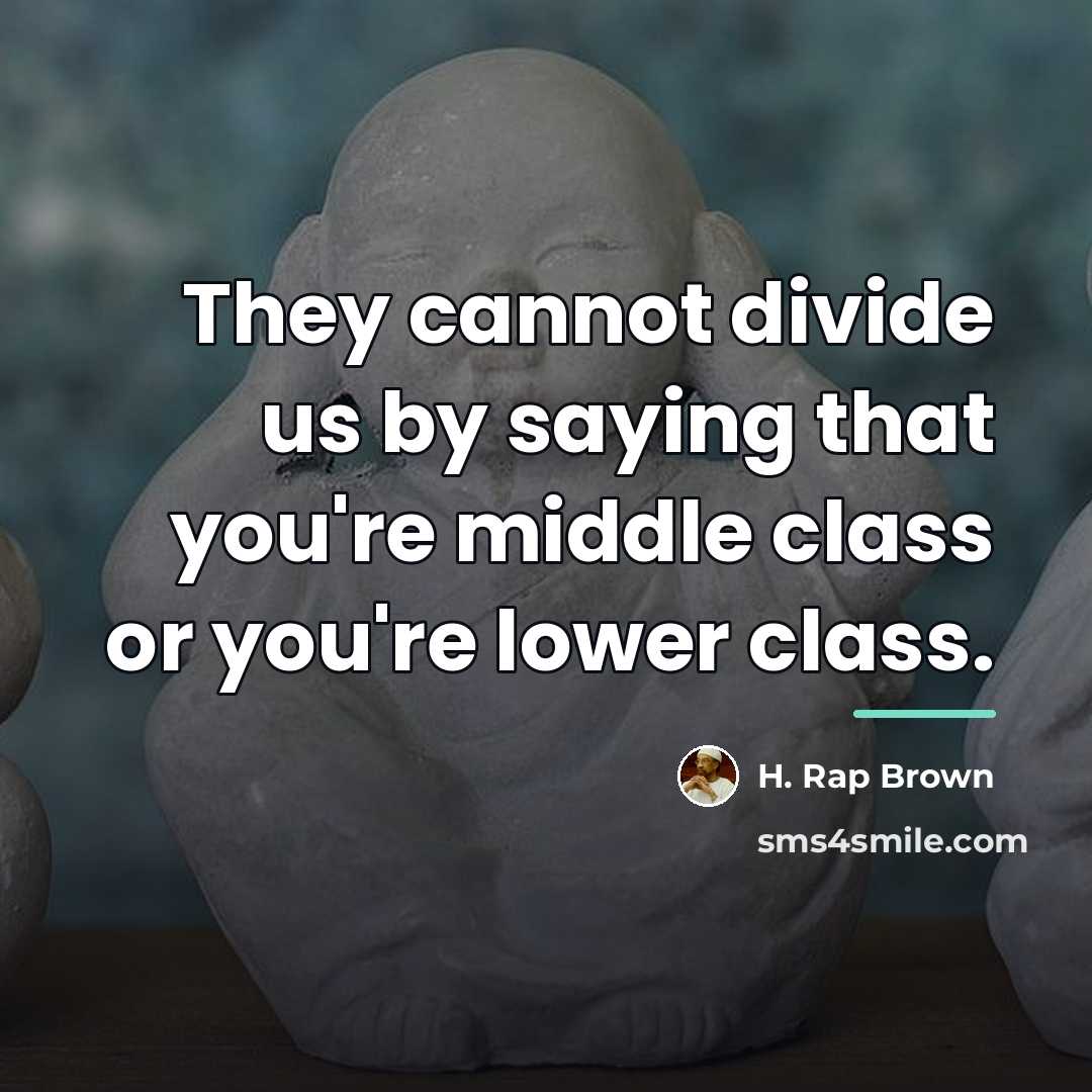 “They cannot divide us by saying that you're middle class…” quote by H. Rap Brown