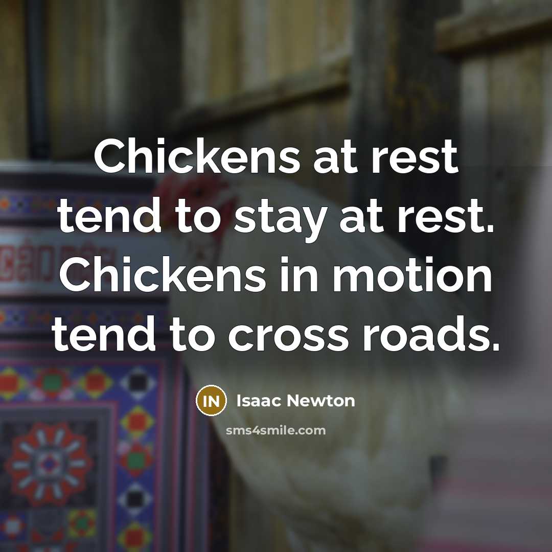 “Chickens at rest tend to stay at rest. Chickens in…” quote by Isaac Newton