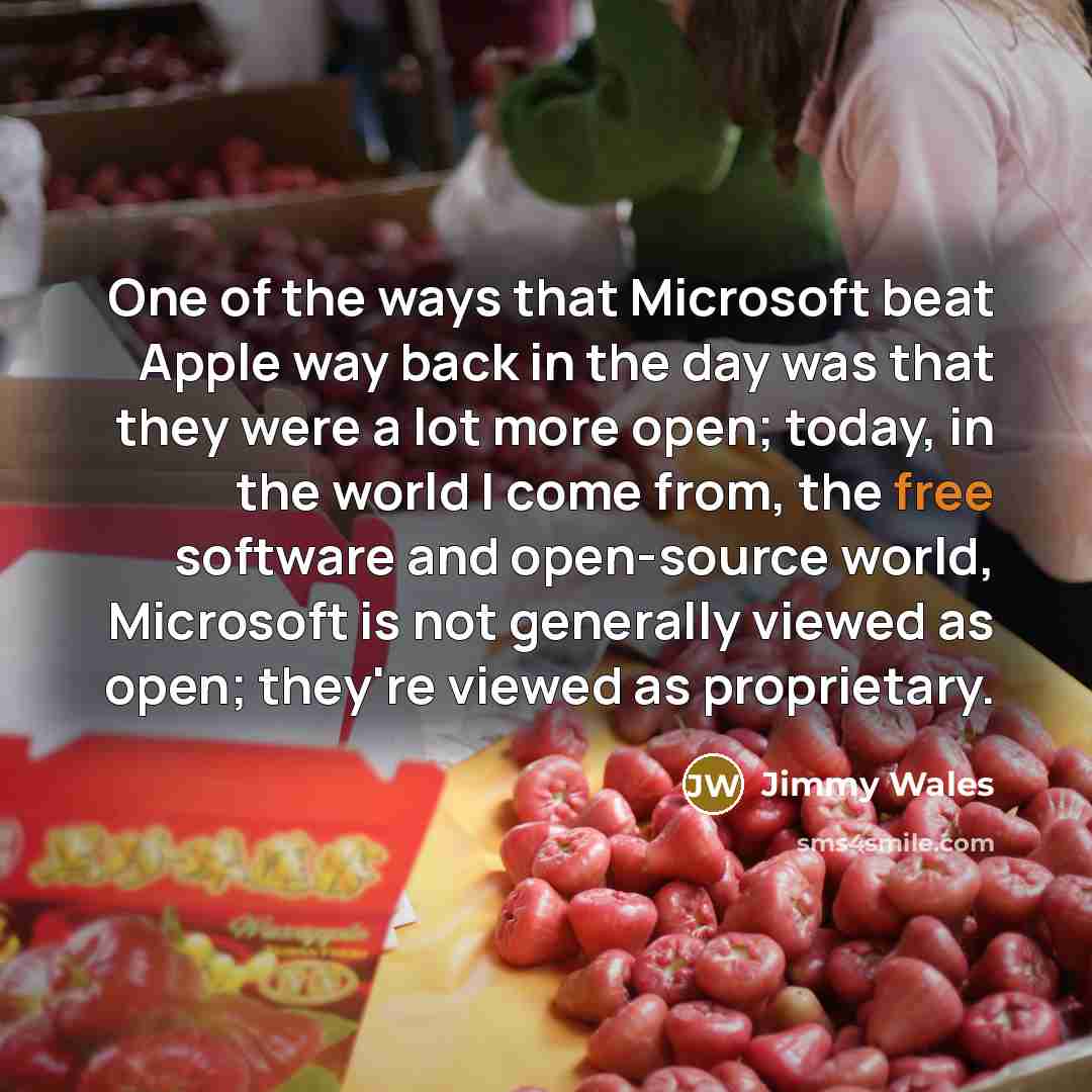 “One of the ways that Microsoft beat Apple way back…” quote by Jimmy Wales