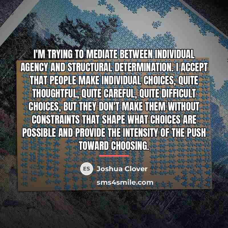 “I'm trying to mediate between individual agency and structural determination.…” quote by Joshua Clover
