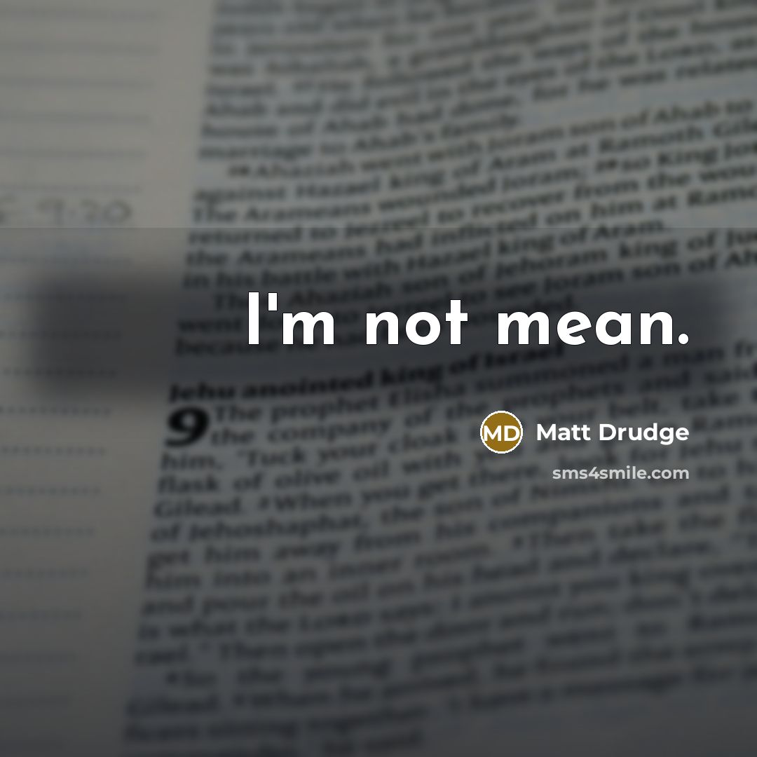 “I'm not mean.…” quote by Matt Drudge