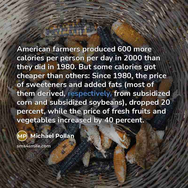 “American farmers produced 600 more calories per person per day…” quote by Michael Pollan