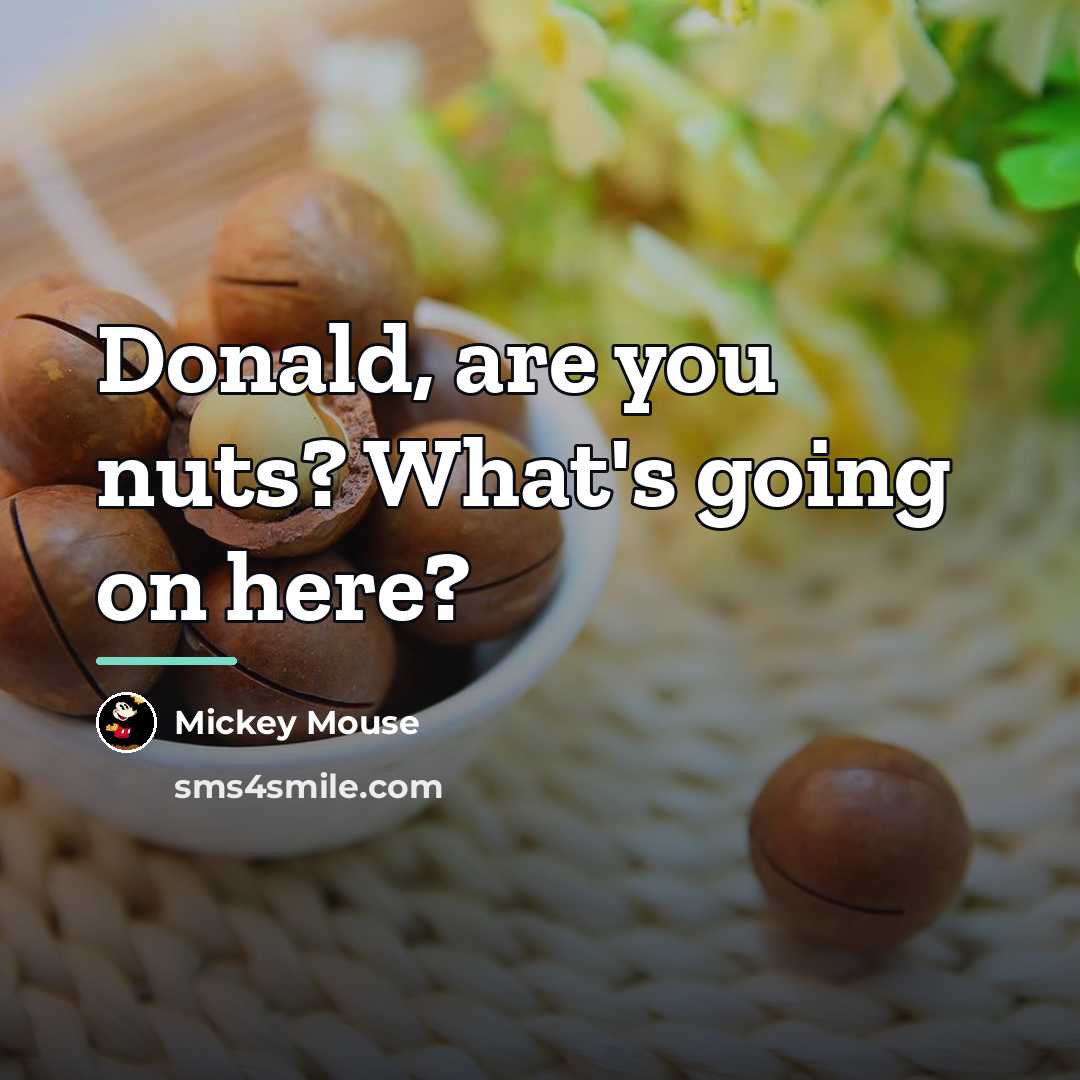 “Donald, are you nuts? What's going on here?…” quote by Mickey Mouse