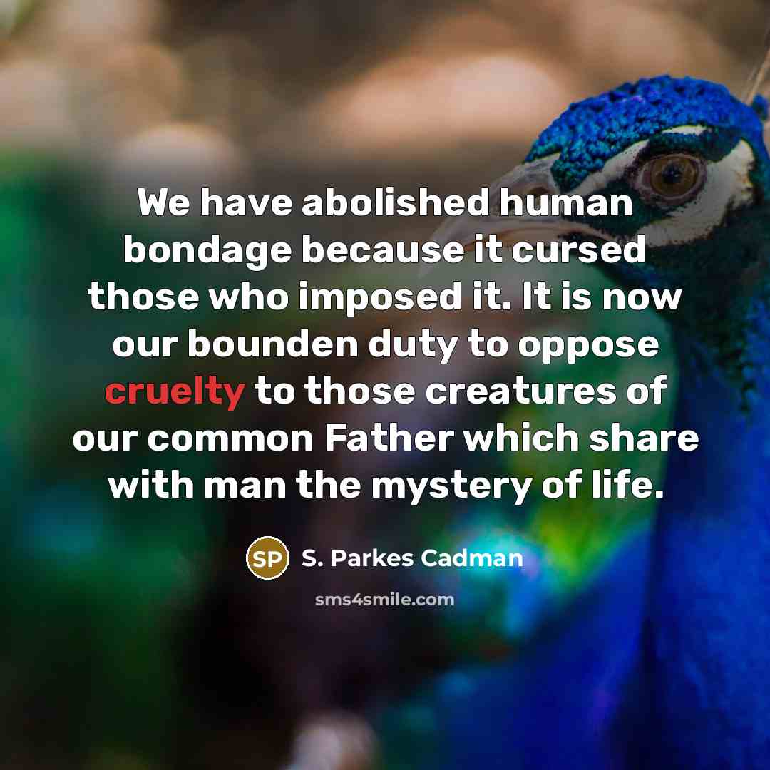 “We have abolished human bondage because it cursed those who…” quote by S. Parkes Cadman