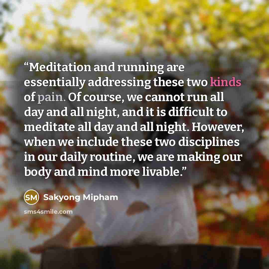 “Meditation and running are essentially addressing these two kinds of pain. Of course, we cannot run all day and all night, and it is difficult to meditate all day and all night. However, when we include these two disciplines in our daily routine, we are making our body and mind more livable.” quote by Sakyong Mipham
