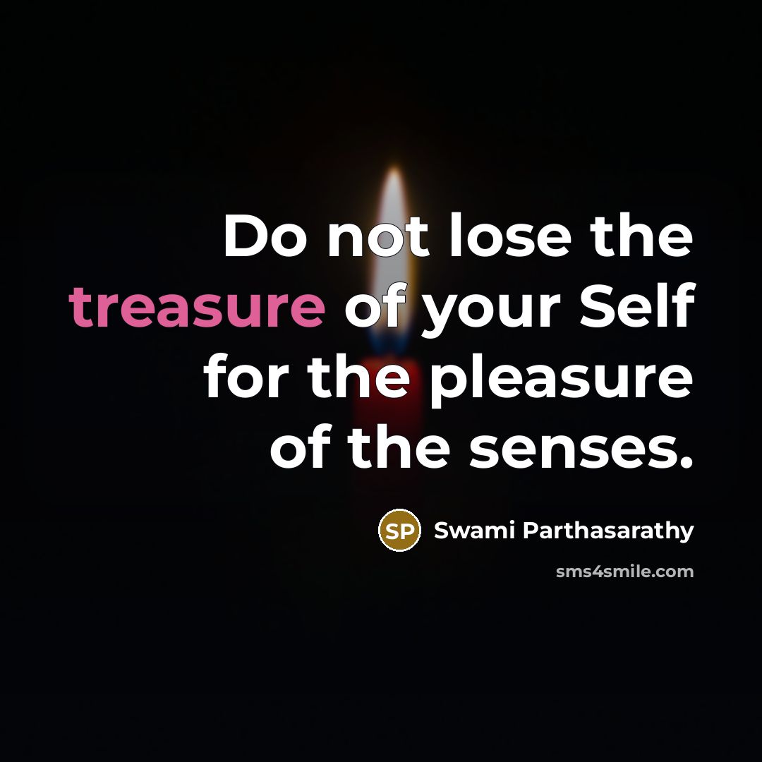 “Do not lose the treasure of your Self for the…” quote by Swami Parthasarathy