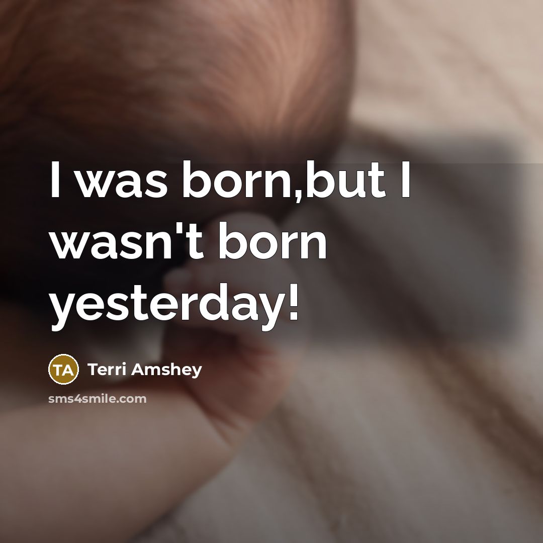 “I was born,but I wasn't born yesterday!…” quote by Terri Amshey