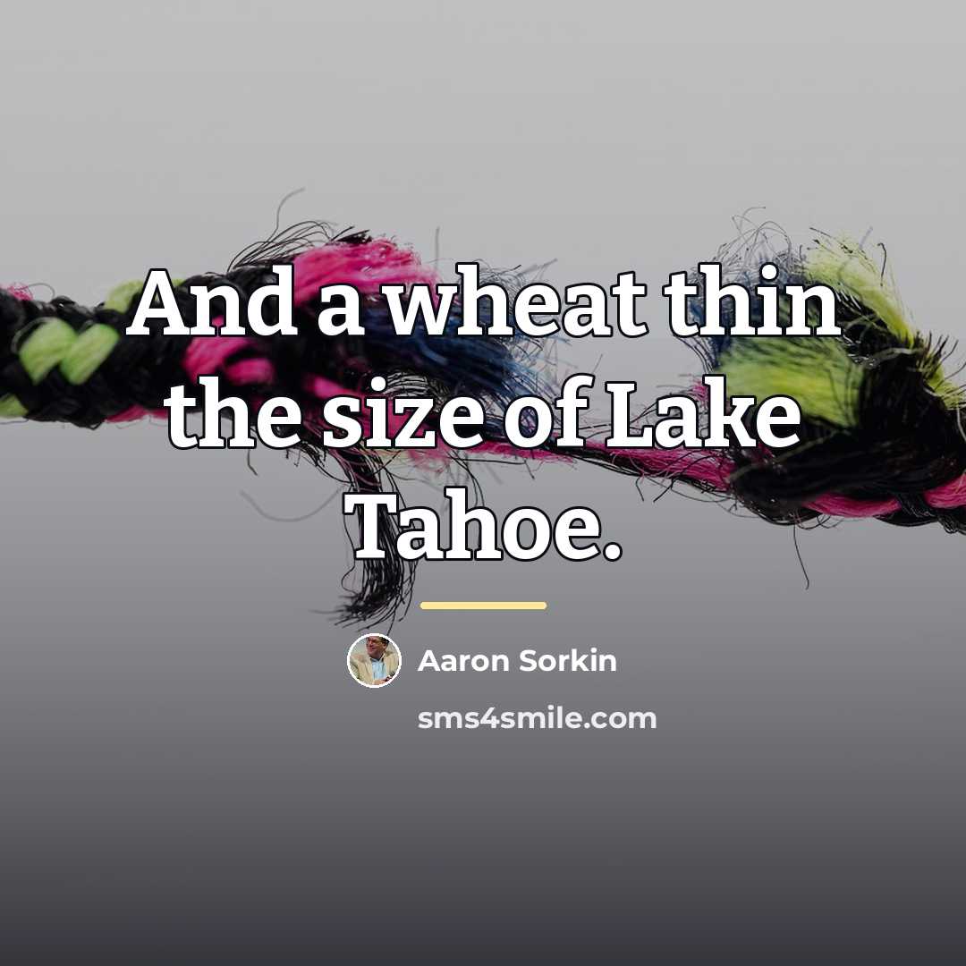 “And a wheat thin the size of Lake Tahoe.…” quote by Aaron Sorkin