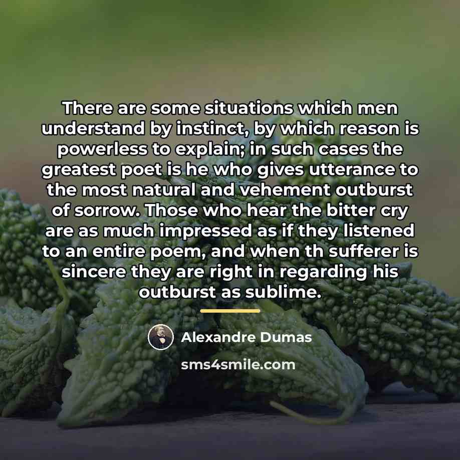 “There are some situations which men understand by instinct, by…” quote by Alexandre Dumas