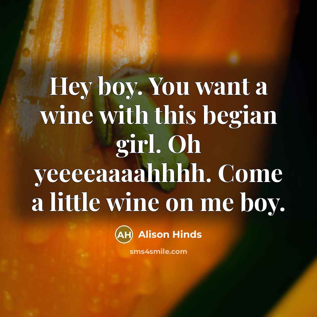 “Hey boy. You want a wine with this begian girl. Oh yeeeeaaaahhhh. Come a little wine on me boy.” quote by Alison Hinds