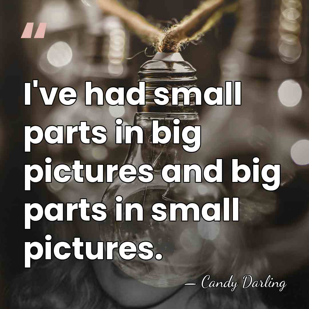 I've had small parts in big pictures and big parts in small&hellip; - Candy Darling
