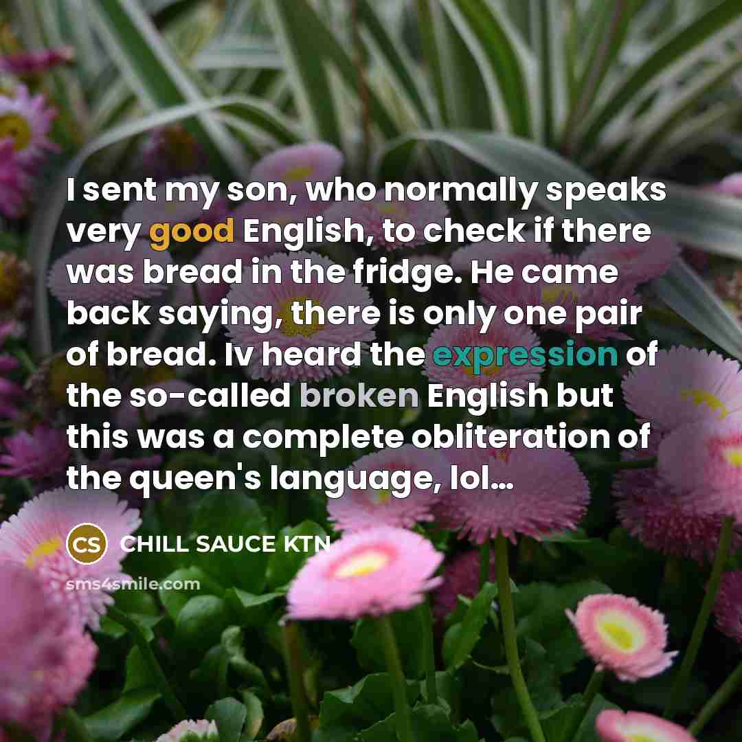 “I sent my son, who normally speaks very good English, to check if there was bread in the fridge. He came back saying, there is only one pair of bread. Iv heard the expression of the so-called broken English but this was a complete obliteration of the queen's language, lol…” quote by CHILL SAUCE KTN
