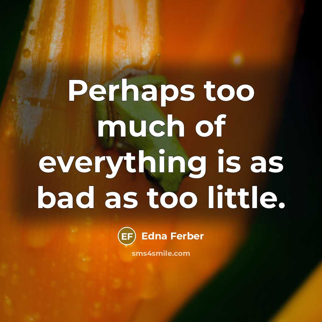 “Perhaps too much of everything is as bad as too little.” quote by Edna Ferber