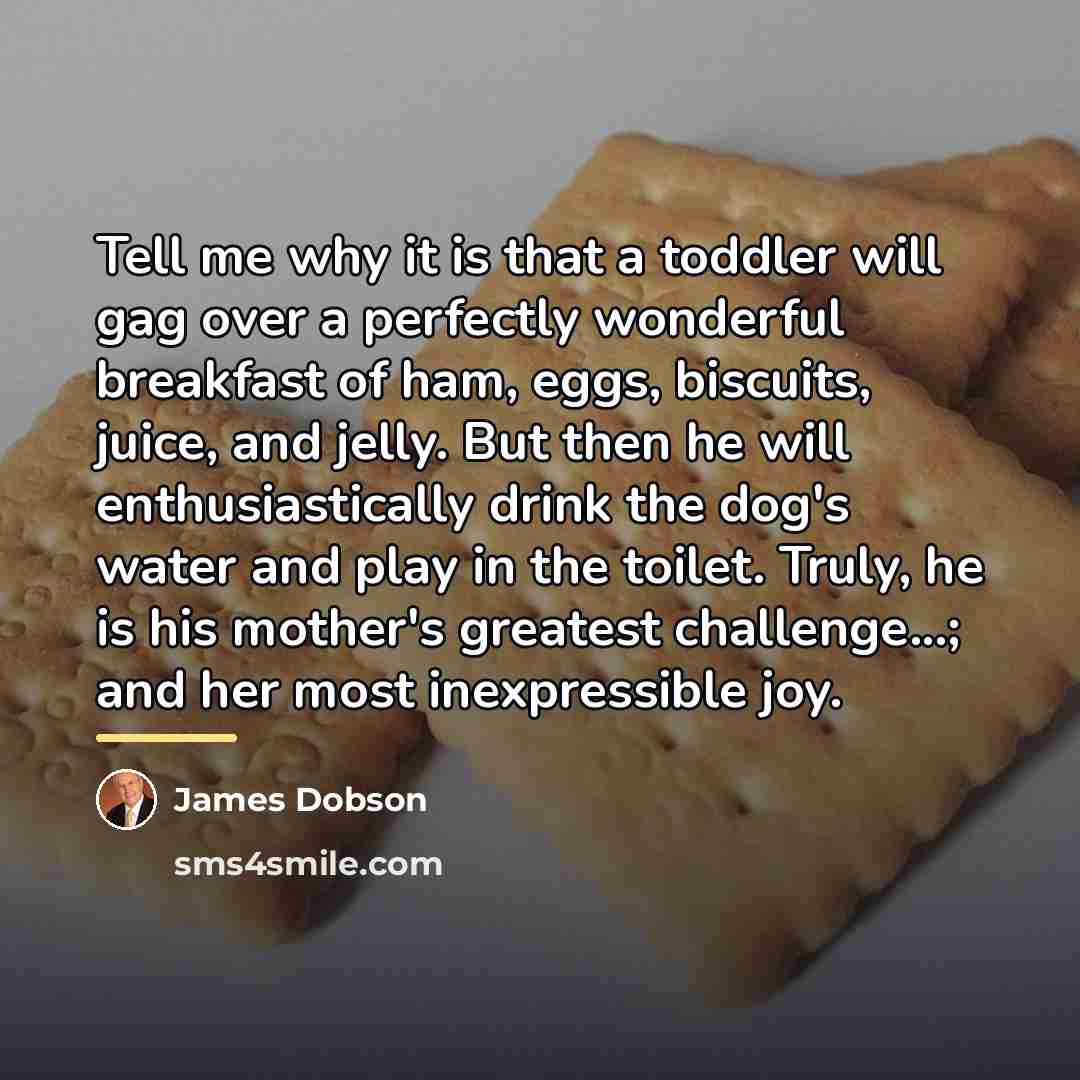 “Tell me why it is that a toddler will gag…” quote by James Dobson