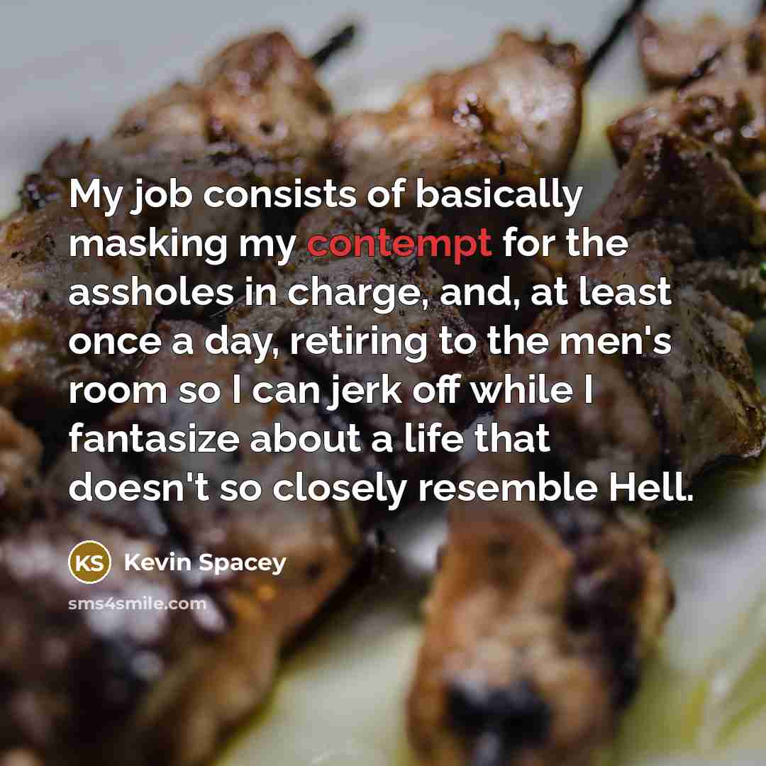 “My job consists of basically masking my contempt for the…” quote by Kevin Spacey