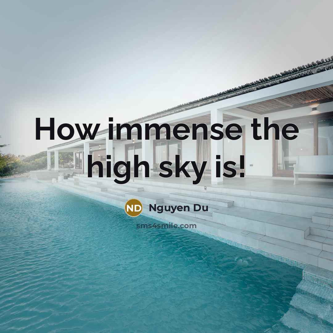 “How immense the high sky is!” quote by Nguyen Du