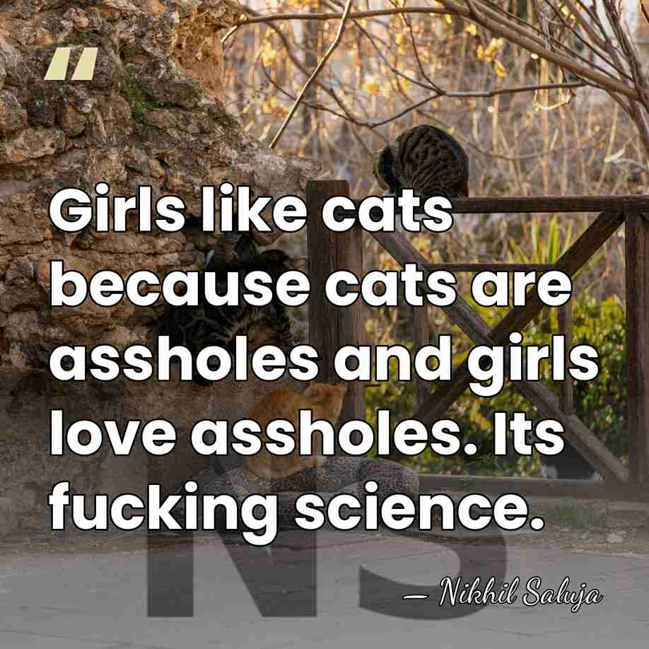 Girls like cats because cats are assholes and girls love assholes. Its&hellip; - Nikhil Saluja