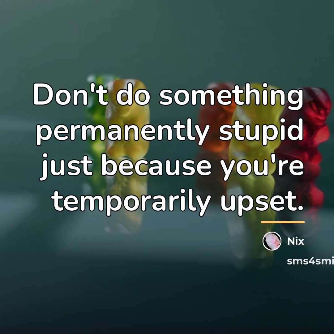 “Don't do something permanently stupid just because you're temporarily upset.…” quote by Nix