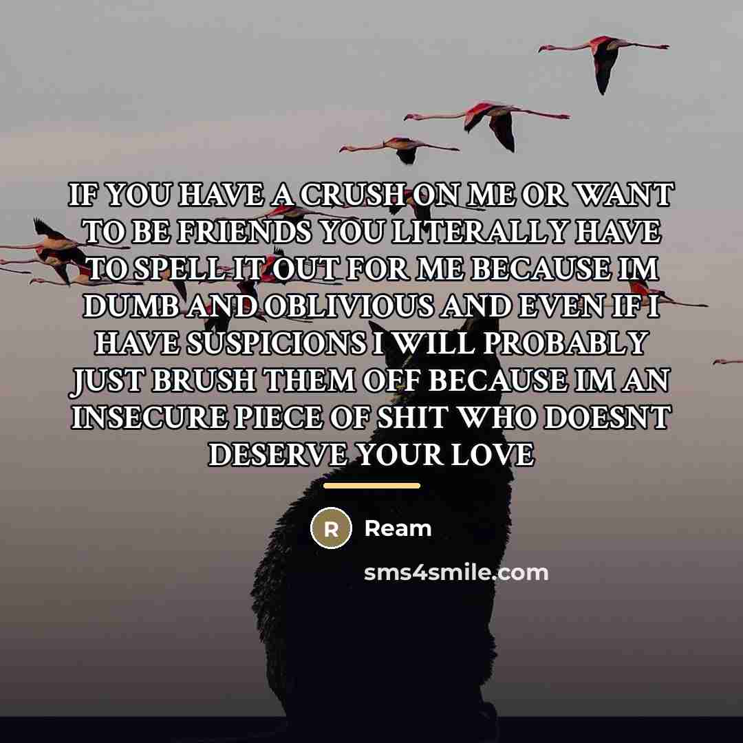 “IF YOU HAVE A CRUSH ON ME OR WANT TO…” quote by Ream