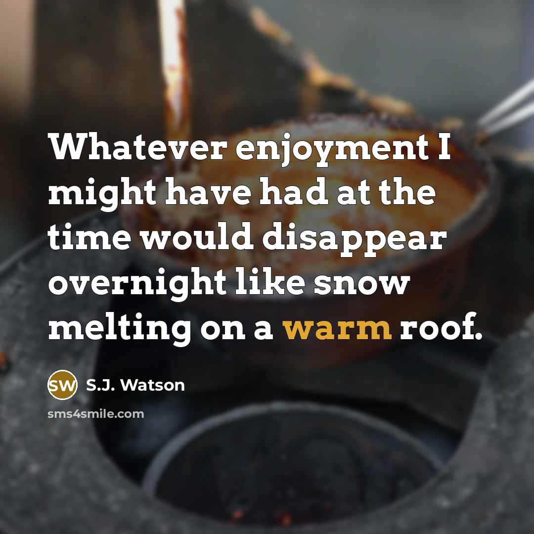 “Whatever enjoyment I might have had at the time would…” quote by S.J. Watson