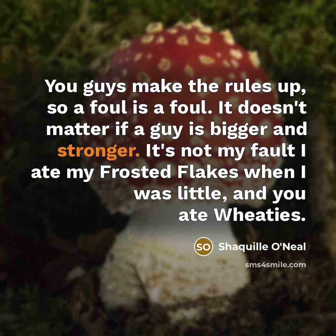 “You guys make the rules up, so a foul is…” quote by Shaquille O'Neal