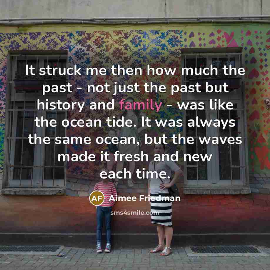 “It struck me then how much the past - not…” quote by Aimee Friedman
