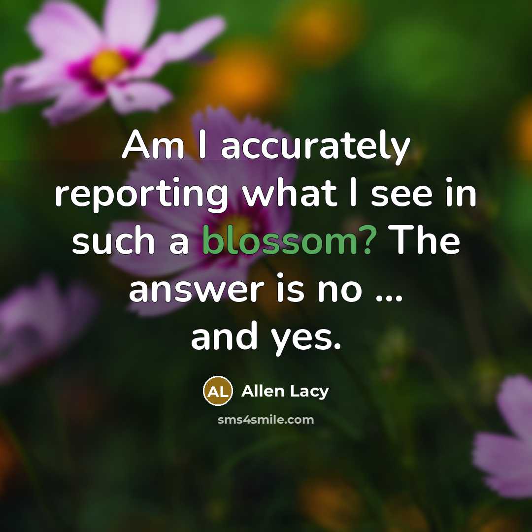 “Am I accurately reporting what I see in such a…” quote by Allen Lacy