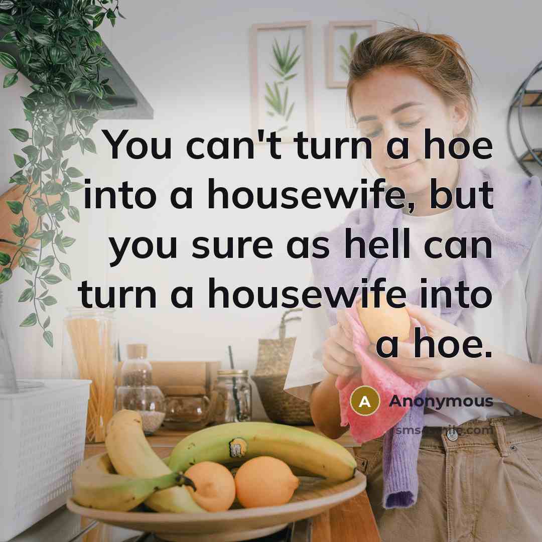 “You can't turn a hoe into a housewife, but you sure as hell can turn a housewife into a hoe.” quote by Anonymous