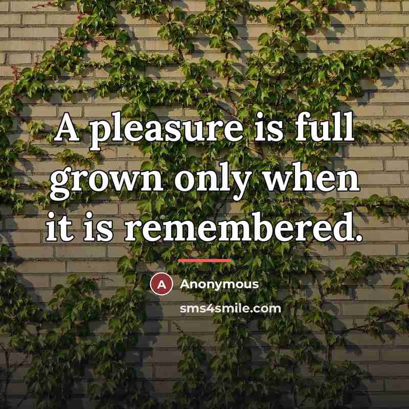 “A pleasure is full grown only when it is remembered.…” quote by Anonymous