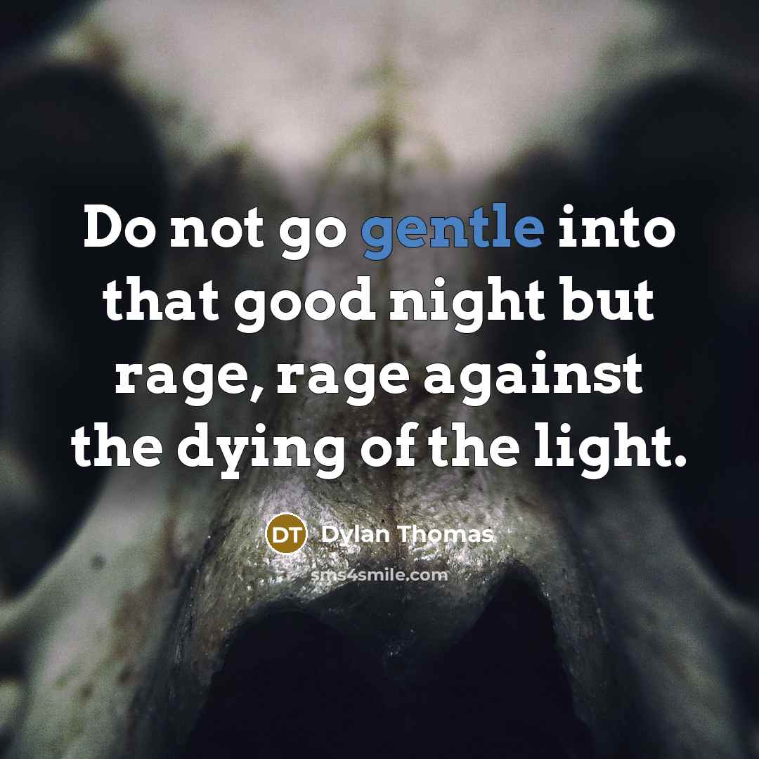 “Do not go gentle into that good night but rage,…” quote by Dylan Thomas
