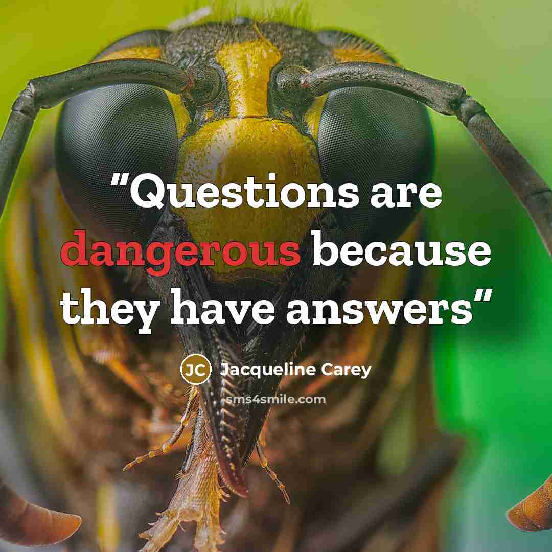 “Questions are dangerous because they have answers” quote by Jacqueline Carey