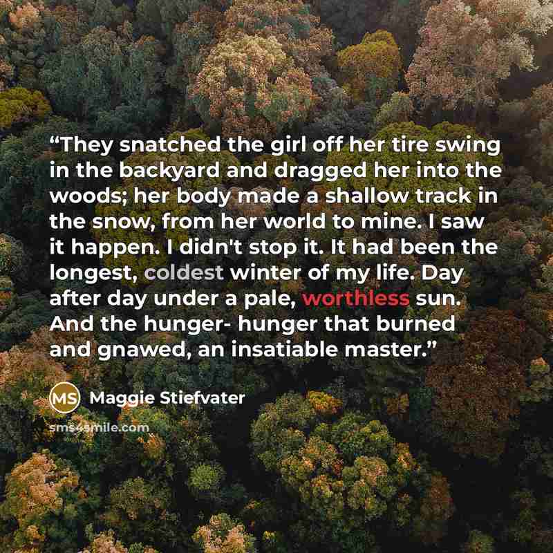 “They snatched the girl off her tire swing in the backyard and dragged her into the woods; her body made a shallow track in the snow, from her world to mine. I saw it happen. I didn't stop it. It had been the longest, coldest winter of my life. Day after day under a pale, worthless sun. And the…” quote by Maggie Stiefvater