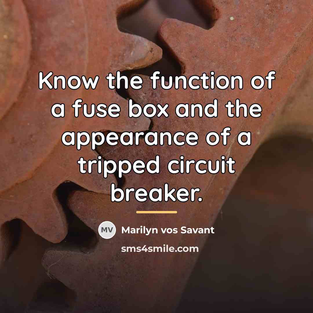 “Know the function of a fuse box and the appearance…” quote by Marilyn vos Savant
