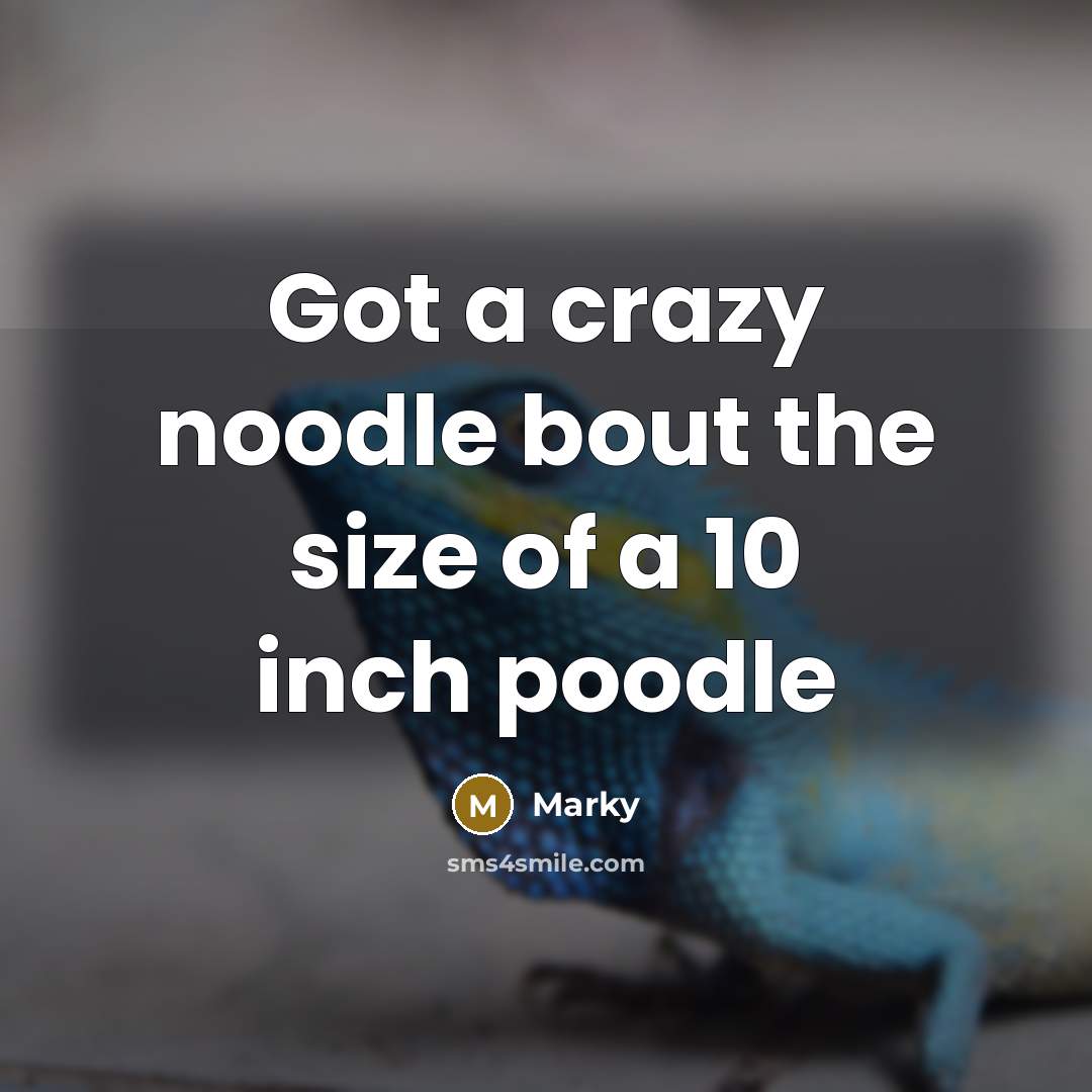 “Got a crazy noodle bout the size of a 10 inch poodle” quote by Marky