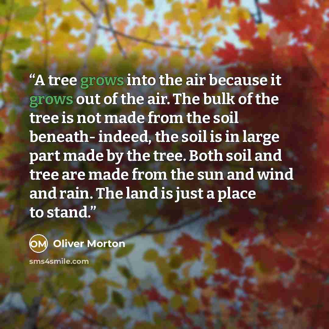 “A tree grows into the air because it grows out of the air. The bulk of the tree is not made from the soil beneath- indeed, the soil is in large part made by the tree. Both soil and tree are made from the sun and wind and rain. The land is just a place to stand.” quote by Oliver Morton