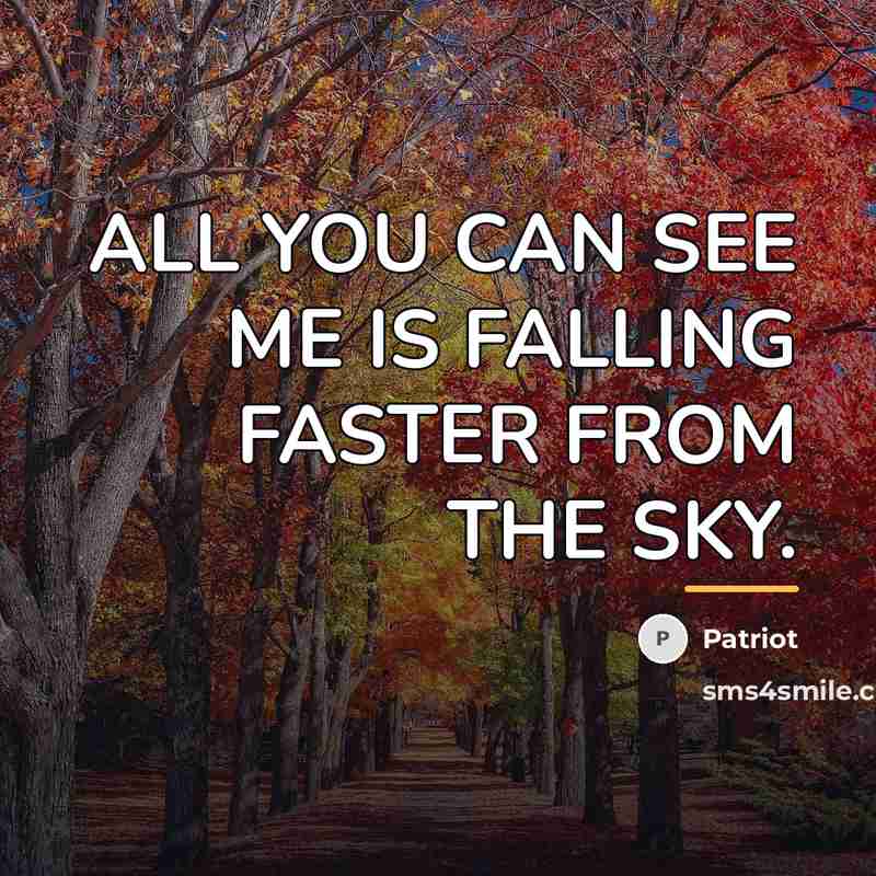 “ALL YOU CAN SEE ME IS FALLING FASTER FROM THE…” quote by Patriot