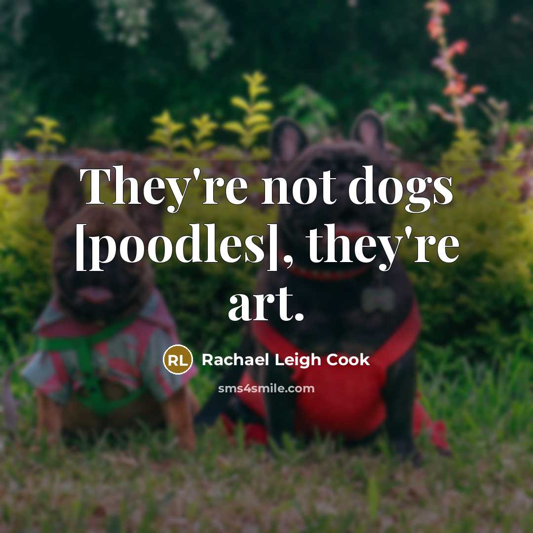 “They're not dogs [poodles], they're art.…” quote by Rachael Leigh Cook