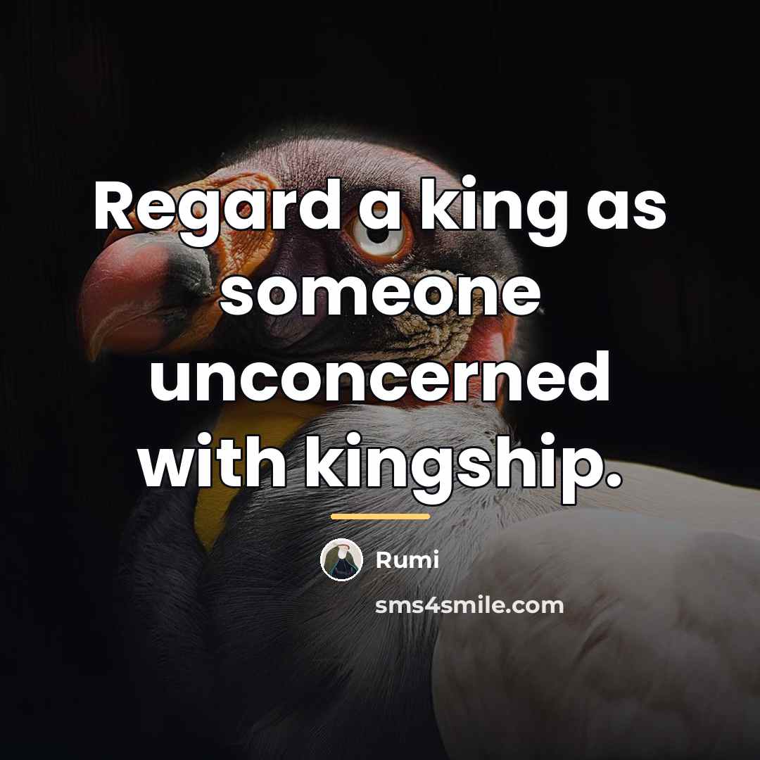 “Regard a king as someone unconcerned with kingship.…” quote by Rumi
