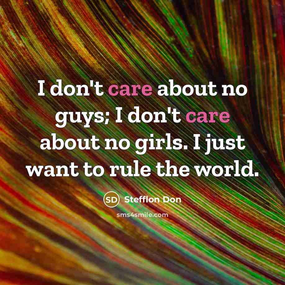 “I don't care about no guys; I don't care about…” quote by Stefflon Don