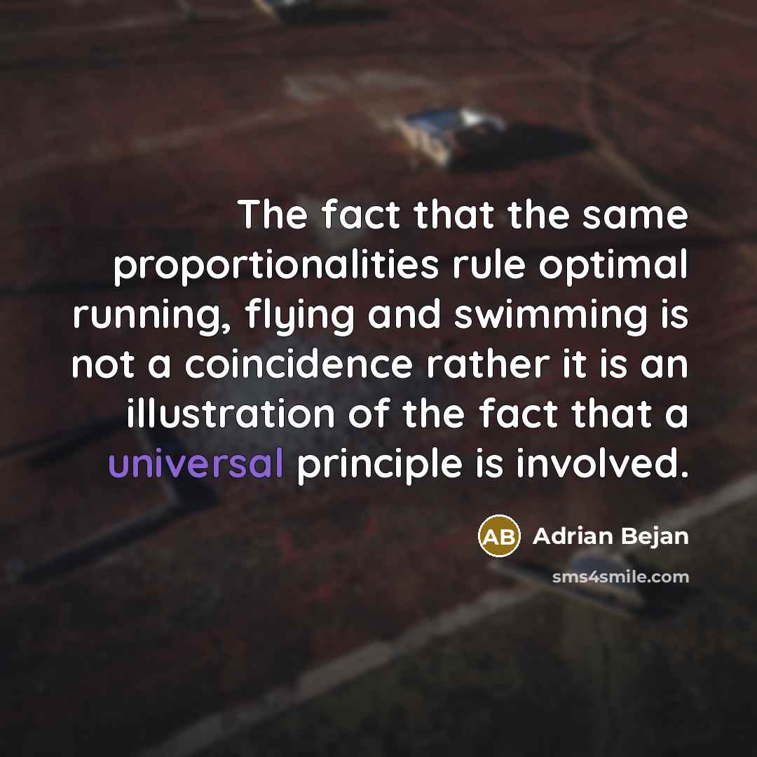 “The fact that the same proportionalities rule optimal running, flying…” quote by Adrian Bejan