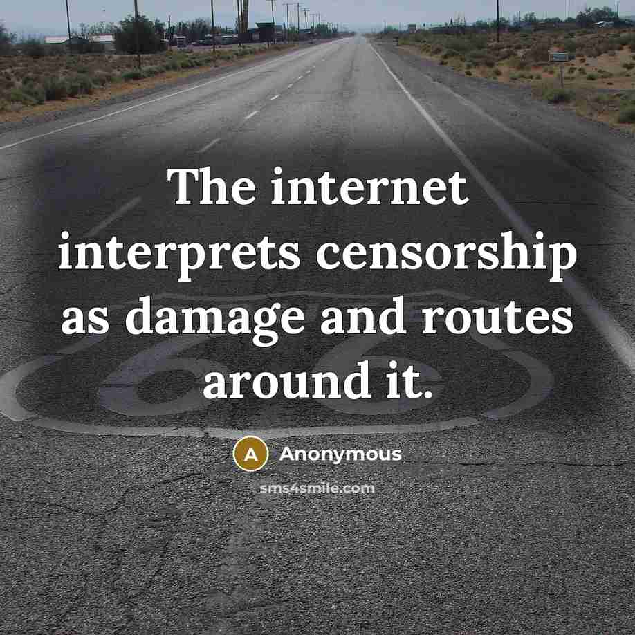 “The internet interprets censorship as damage and routes around it.” quote by Anonymous