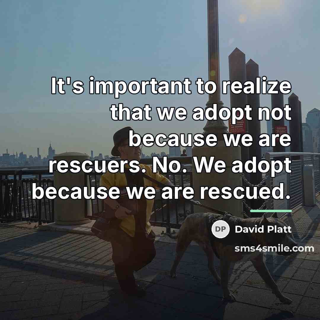 “It's important to realize that we adopt not because we…” quote by David Platt