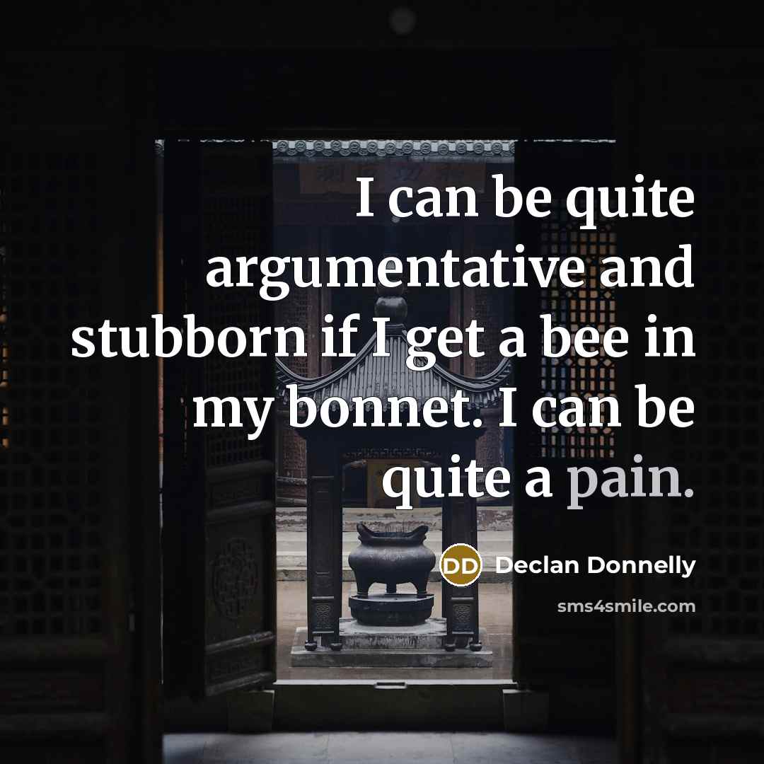 “I can be quite argumentative and stubborn if I get a bee in my bonnet. I can be quite a pain.” quote by Declan Donnelly