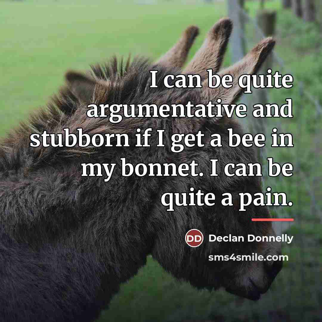 “I can be quite argumentative and stubborn if I get…” quote by Declan Donnelly